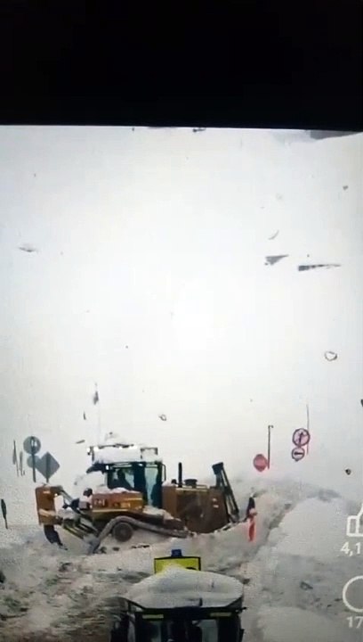 nieve