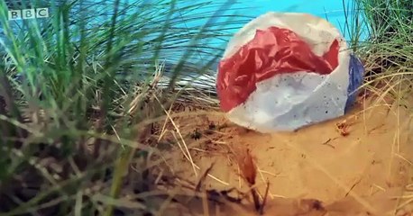 Twirlywoos Twirlywoos S04 E002