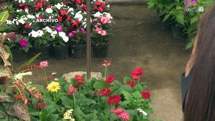 Afirman que en Zapopan no habrá construcciones verticales ni en Tabachines ni en Bugambilias