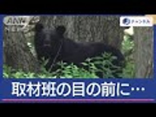 前代未聞！日光の校庭にクマ居座り　ホテルの敷地にも【スーパーJチャンネル】(2024年6月25日)