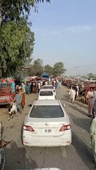 Mawesi mandi ka mahol