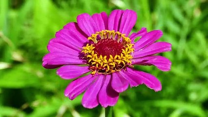 Appreciating your own Divinity