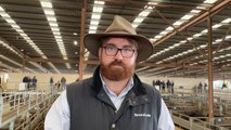 Pakenham saleyard closure | Stock & Land