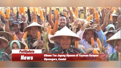Kodam IV Diponegoro Panen Jagung Ribuan Ton di Lahan Tidur Milik Yayasan Rumpun Diponegoro