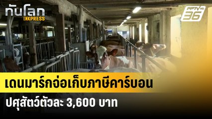 เดนมาร์กจ่อเก็บภาษีคาร์บอนปศุสัตว์ตัวละ 3,600 บาท | ทันโลก EXPRESS  | 27 มิ.ย. 67