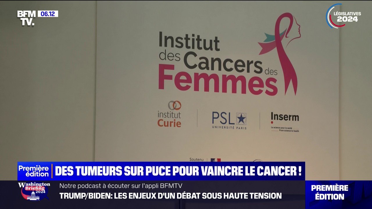 Des chercheurs sont parvenus à reproduire l'environnement des tumeurs sur des puces afin de mieux tester les traitements