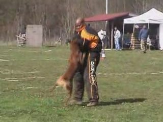 Sélectif Ring Chemaudin 2008 Scorpio