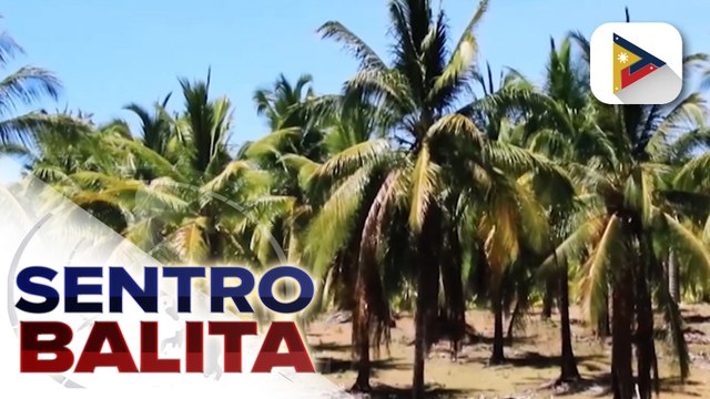 Agrarian reform beneficiary sa Masbate, nagpasalamat sa natanggap na titulo ng lupa mula sa pamahalaan