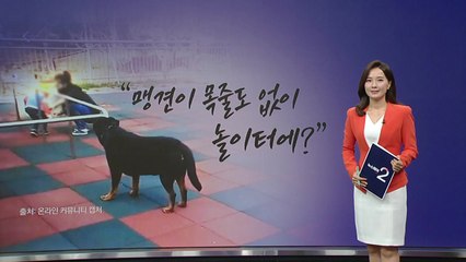 놀이터에 맹견 출몰? 목줄 없는 로트와일러에 놀란 시민들 😨