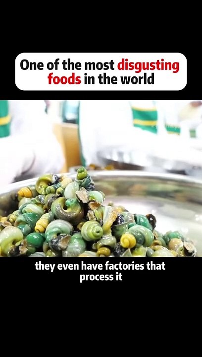 Most disgusting food in the world. - video Dailymotion