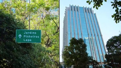 Capitulo 8 - Segue compartilhe.