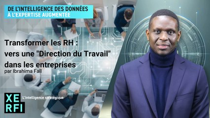 Transformer les RH : vers une "Direction du Travail" dans les entreprises [Ibrahima Fall]