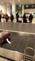 luggage #viral #trending #foryou #tiktok #delicious #gaming #reels