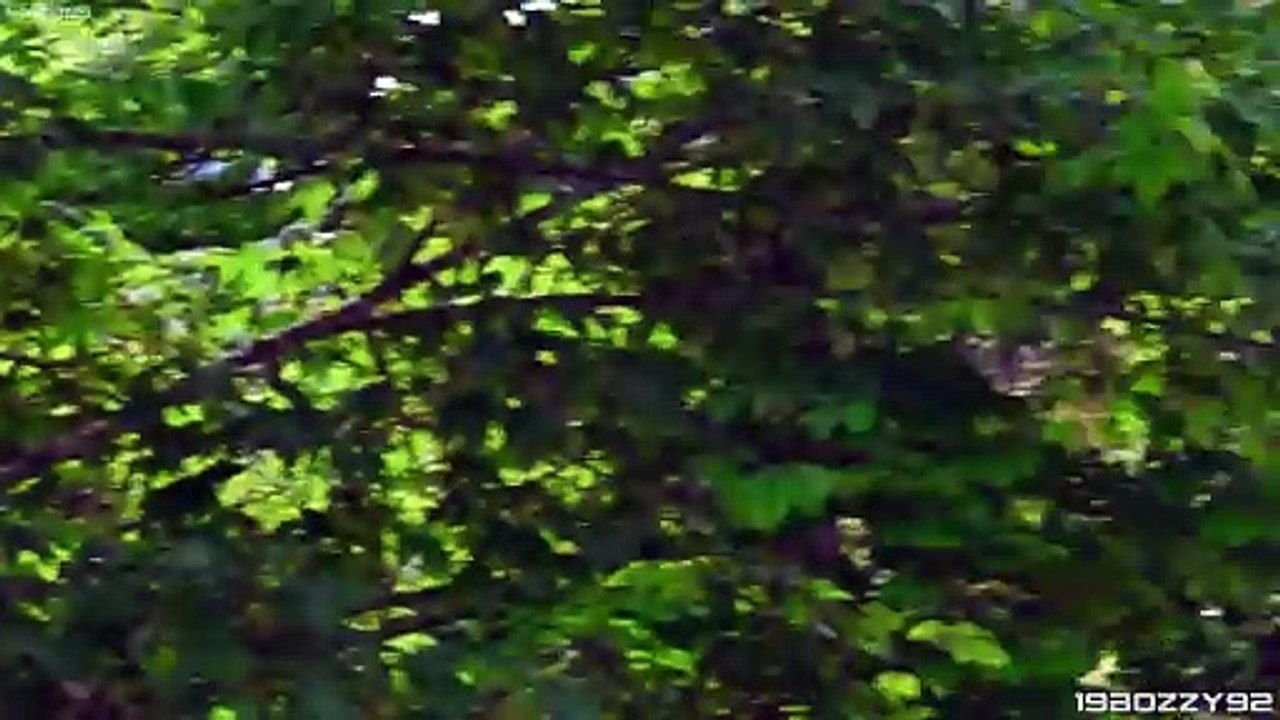 2 x Lancia Delta S4 by Ianniello Hillclimb Monsters in action! - Bergrennen Hemberg 2024