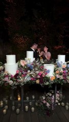 رقص دانا الحلاني وعريسها في الخطوبة