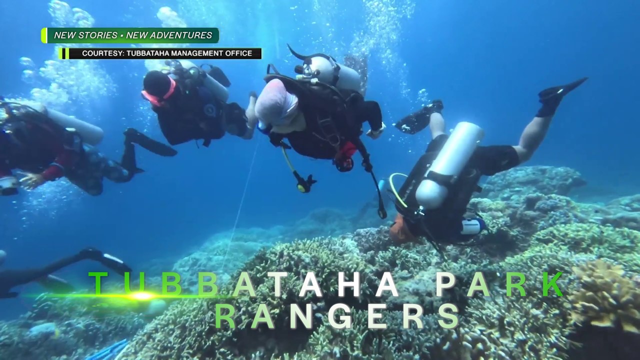 Amazing Earth: Tubbataha Reef Rangers at ang challenge kay Miss Earth-Air 2023 Yllana Marie Aduana