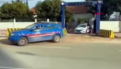 Milyonlarca kök kenevir yakalandı