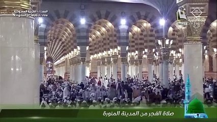 بث مسجل من قناة المجد العلمية