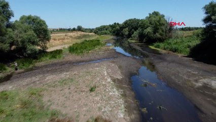 Tunca Nehri kuruma noktasına geldi, çeltik sulaması durdu