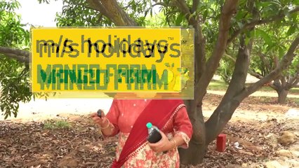 Client Feedback | Mango Farmland for Sale -At M/S Holidays Mango Farms Chennai
