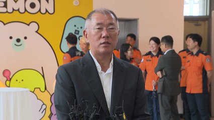 [기업] 정의선 현대차그룹 회장 "소방관 생명과 안전을..." / YTN