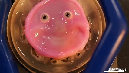 In Giappone creato il primo sorriso umano (e inquietante) su un robot