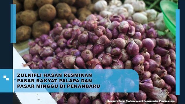 Zulkifli Hasan resmikan Pasar Rakyat Palapa Dan Pasar Minggu Di Pekanbaru