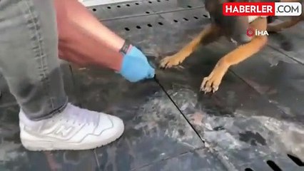 İzmir'de oto kurtarıcıda 19 kilogram uyuşturucu ele geçirildi