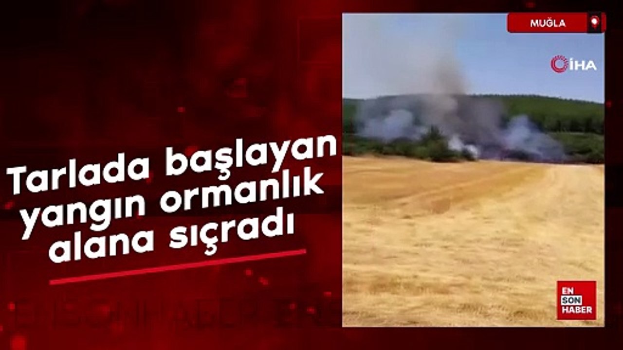 Muğla'da yangın ormanlık alana sıçradı