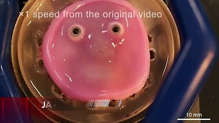 Japonlar, canlı deriye sahip insansı robot geliştirdi