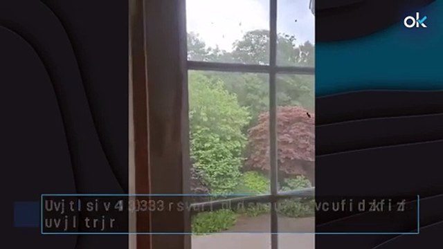 Descubre 180.000 abejas zumbando en el dormitorio de su casa