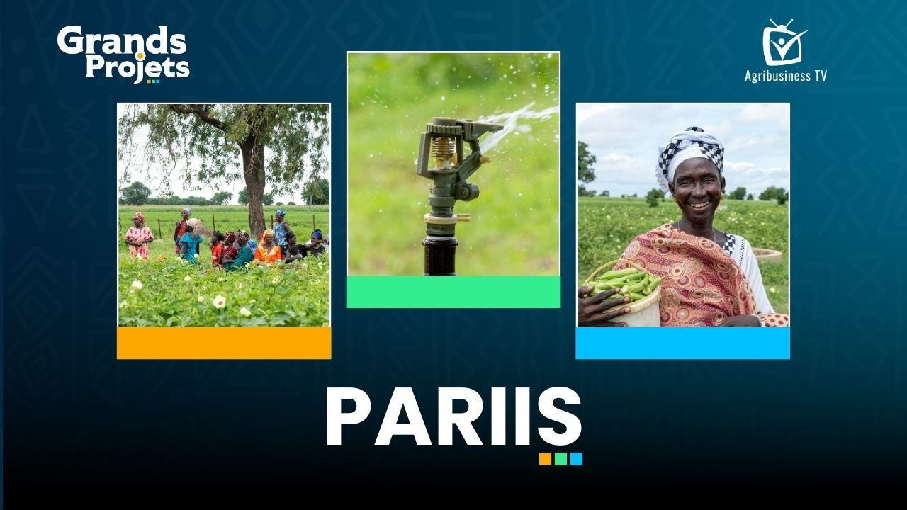 Grands Projets : PARIIS (Épisode 1)