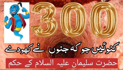 Hazrat suleman allaisalam ke story