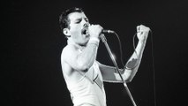 GALA VIDEO - Héritage de Freddie Mercury : cette somme astronomique que son ancienne fiancée va toucher 32 ans après sa mort