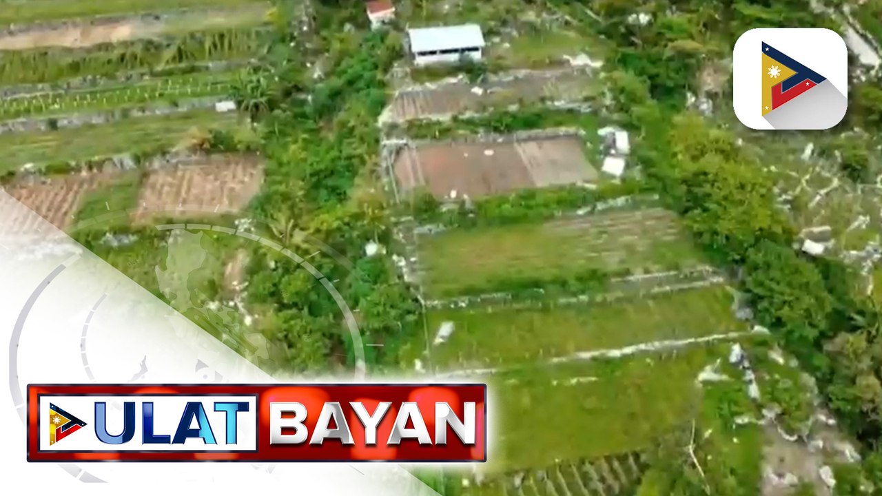 Ang Pangulo at ang Magsasaka