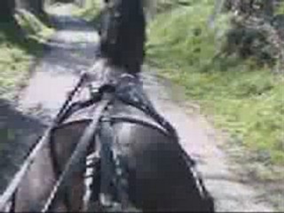 L'attelage