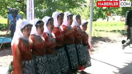 Malatya'da Kayısı Hasat Bayramı Düzenlendi