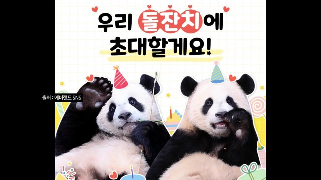 푸바오 쌍둥이 동생 돌잔치 초대합니다 ...바오 패밀리 대한 사랑 식을 줄 몰라 [앵커리포트] / YTN