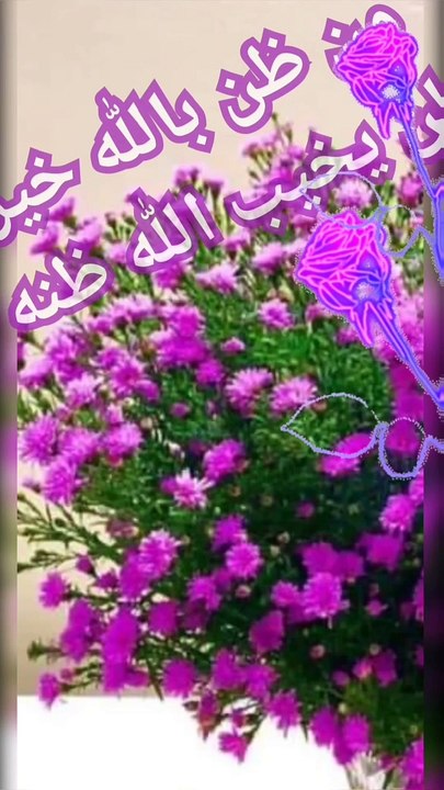 دعوات مستجابة   صباحكم_ورد