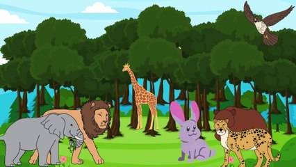 Ali Raza & Aira Ali Vlogs