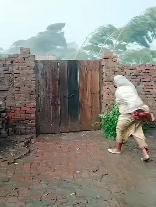 Have Rain ️