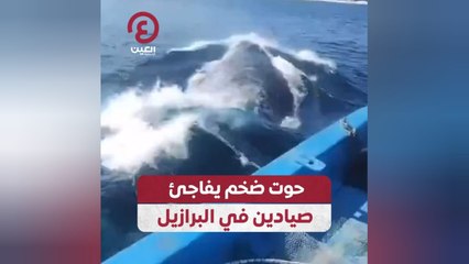 حوت ضخم يفاجئ صيادين في البرازيل