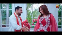 Laal Jora _Amin Pyara (Official Music Video 2024)| Thar Production