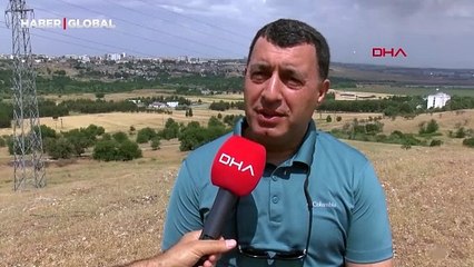 Orta Doğu özgü tarantula türü Şırnak'ta ortaya çıktı