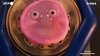 Scienziati giapponesi hanno creato un sorriso "umano" per i robot