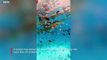 Woman conquers her fear by swimming with over 20 sharks