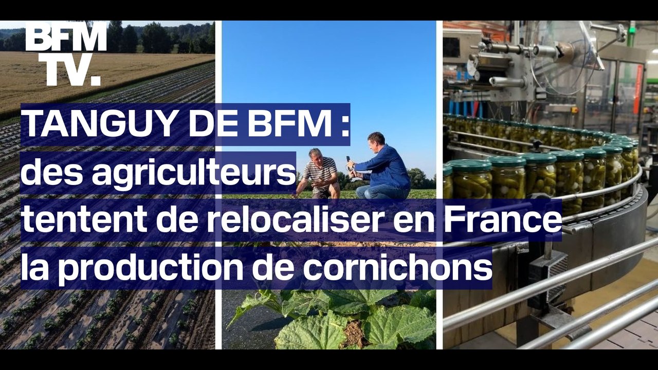 TANGUY DE BFM: des agriculteurs tentent de relocaliser la production de cornichons en France