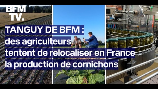 TANGUY DE BFM: des agriculteurs tentent de relocaliser la production de cornichons en France