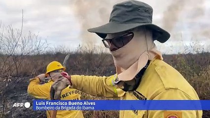 Caótico': queimadas históricas afligem moradores do Pantanal