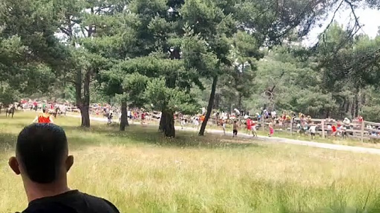 Llegada del tercer novillo al descansadero